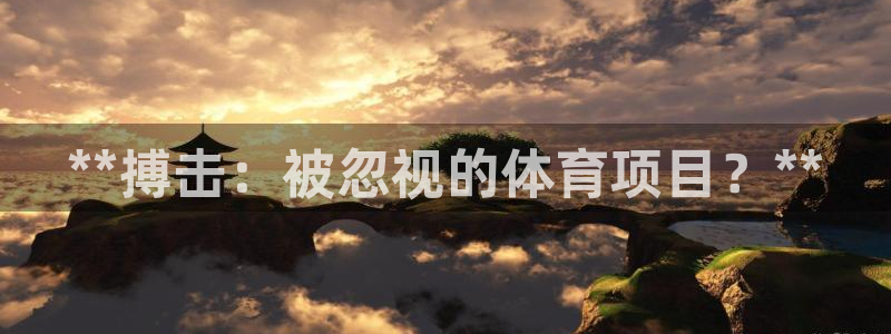 星欧娱乐公司创始人背景故事简介