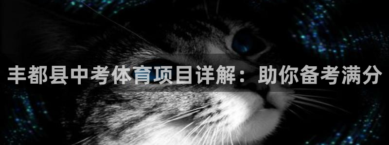 星澳娱乐公司怎么样