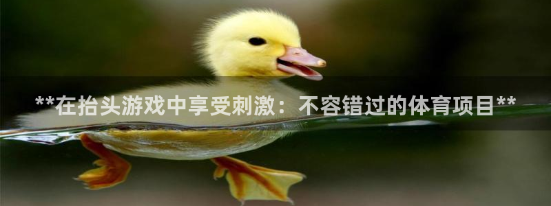 星欧娱乐测速