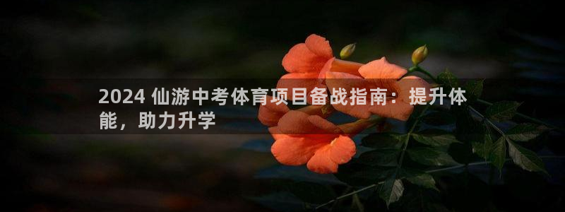 星欧娱乐银行卡怎么登录