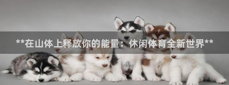 星欧娱乐官网
