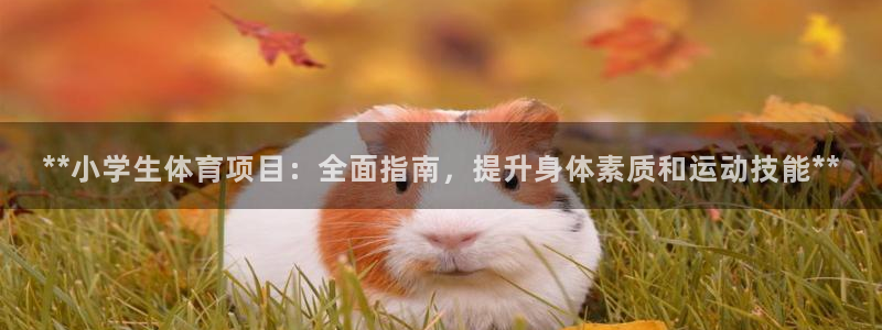 星欧娱乐彩票软件下载安装