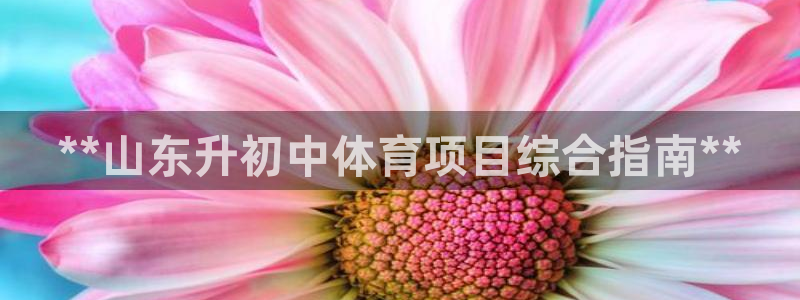 星澳娱乐公司怎么样