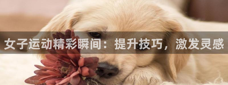 星欧娱乐公司简介
