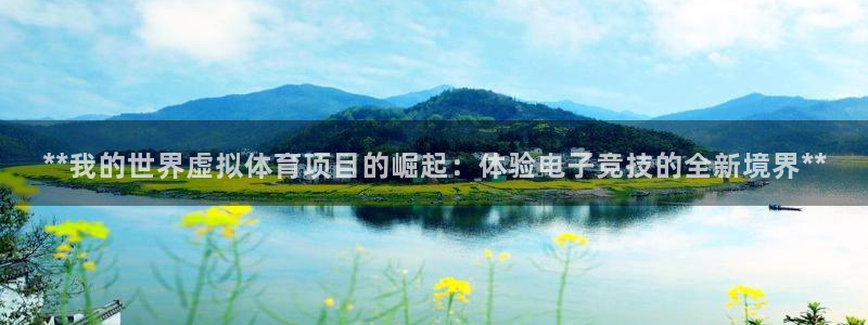 星奥娱乐集团怎么样