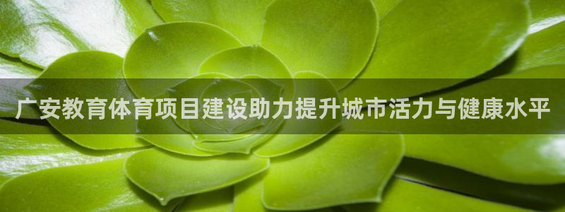 星欧娱乐总代.直开.中国