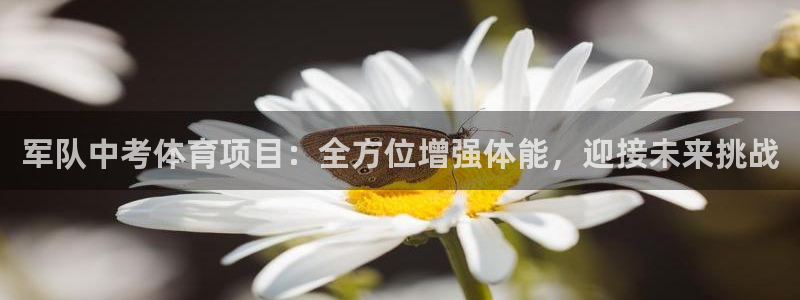 星欧娱乐挂机教程