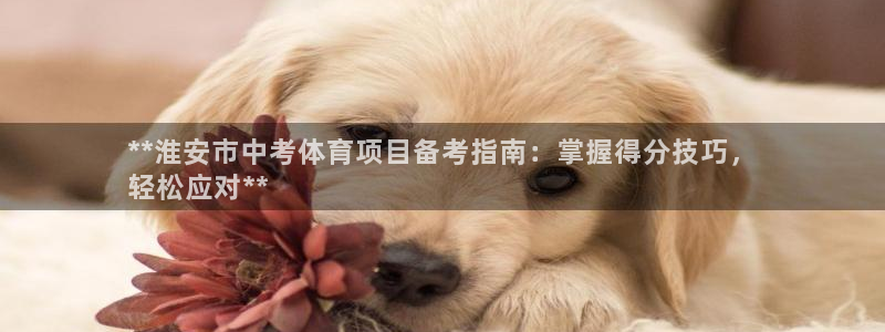 星欧娱乐公司怎么样