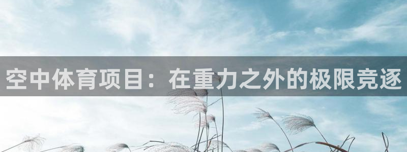 江苏星奥娱乐有限公司