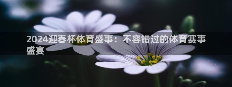 星欧娱乐平台怎么样可靠吗知乎