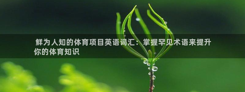 星欧娱乐平台怎么样