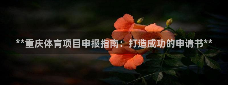 星欧娱乐法711.112扣费如何处理