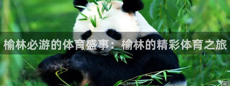 星欧娱乐游戏中心官网登录