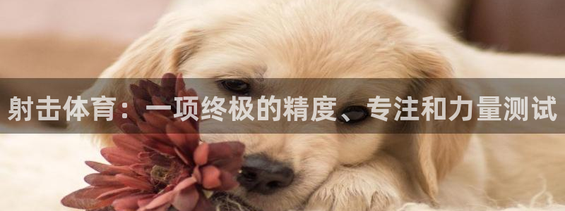 星娱乐包月是干嘛的