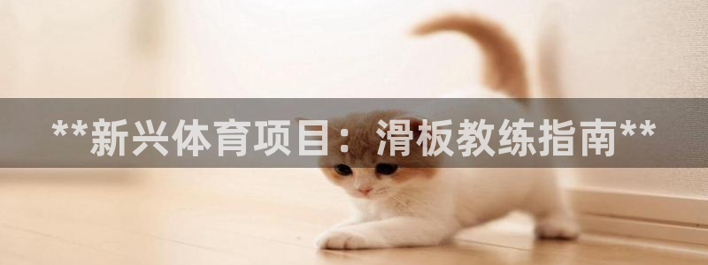 星欧娱乐测速软件下载
