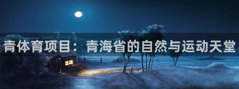 星欧娱乐平台测速线路怎么设置