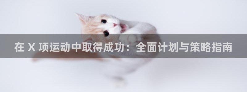 星欧娱乐是正规平台吗安全吗知乎