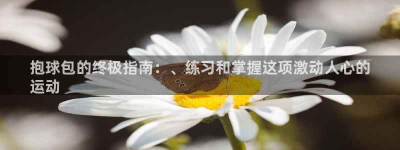 星奥娱乐集团股份有限公司官网