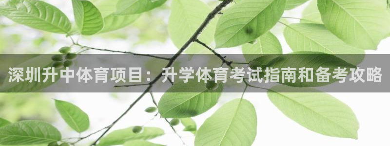星欧娱乐扣款流程详解视频播放