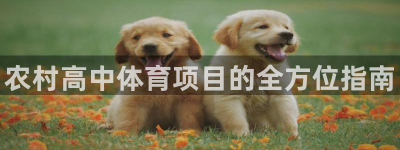 星欧娱乐平台过7O777