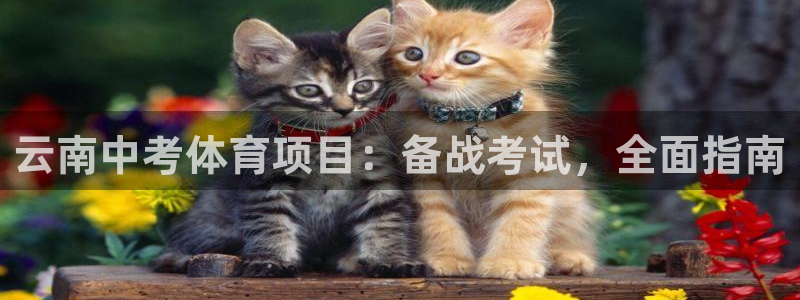 星欧娱乐是正规平台吗安全吗是真的吗