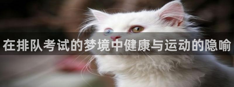 星欧娱乐彩票软件下载官网