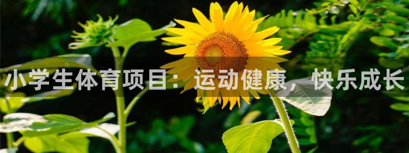 星娱乐online