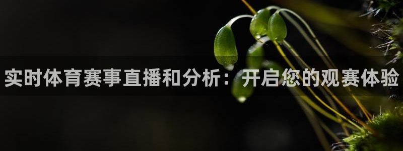 星欧娱乐巴711.112扣费记录查询方法