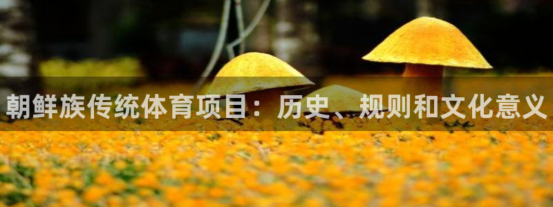 星欧娱乐退款流程详解