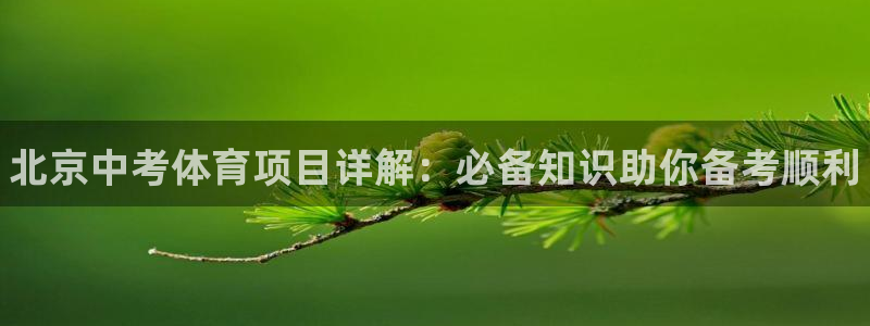 星欧娱乐扣款时间查询方法怎么查不了