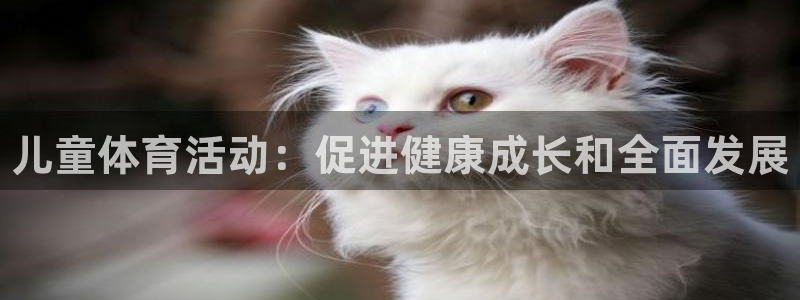 星欧娱乐公司怎么样