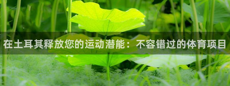 星欧娱乐彩票软件下载安卓