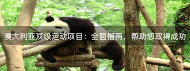 星欧娱乐联游戏评测