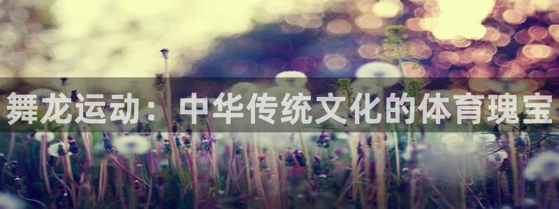 星欧娱乐属于什么档次的公司名称