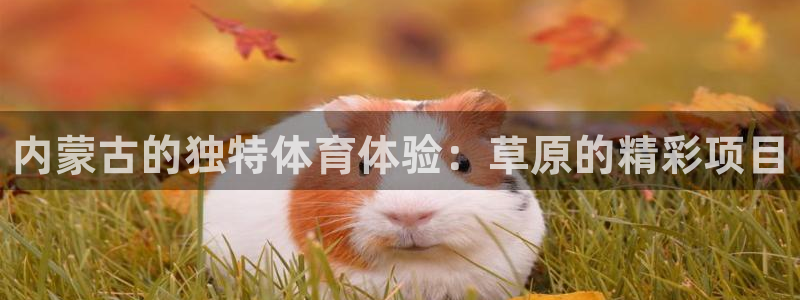 星欧娱乐联最新功能介绍