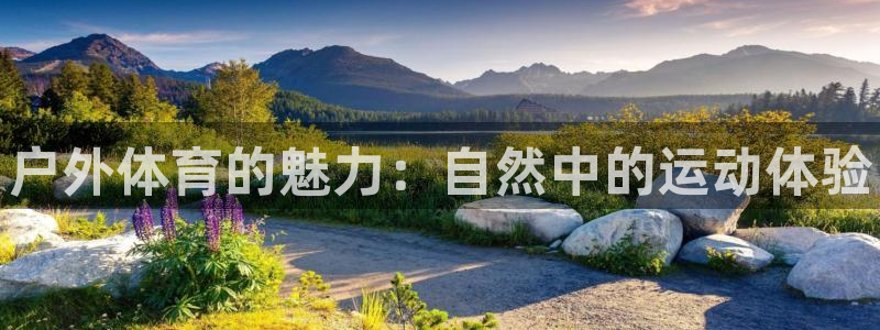 星娱乐online刘亦菲