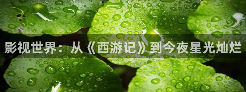 万域之王开心影院樱花