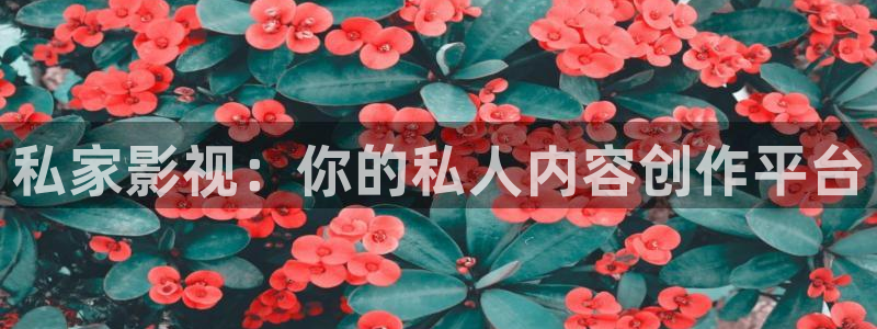 开心就好电影免费观看