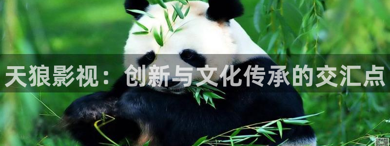 开心影院动漫：天狼影视：创新与文化传承的交汇点