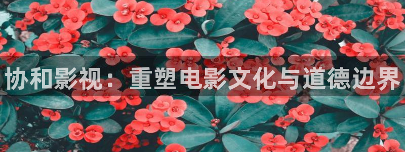 开心影院看电影