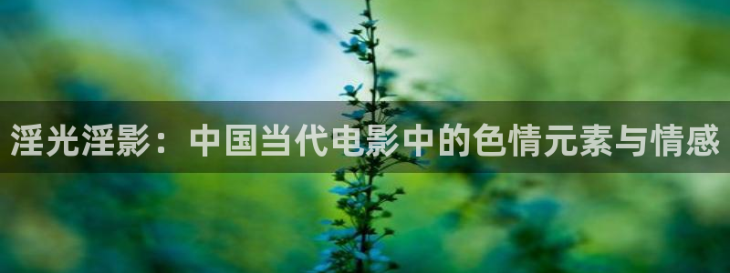 开心影院中