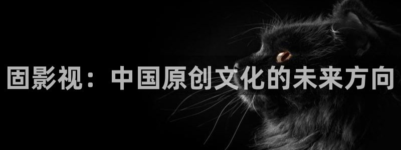 开心影院电影：固影视：中国原创文化的未来方向